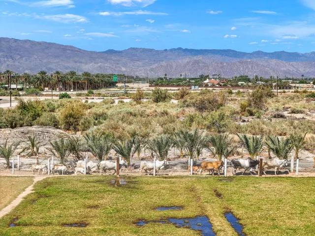 a view of a city with an ocean