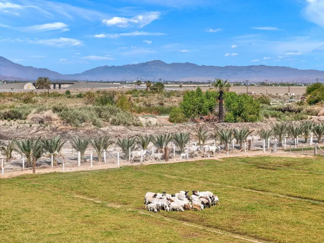 a view of a city with an ocean view