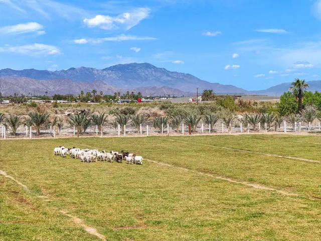 a view of an ocean and a mountain