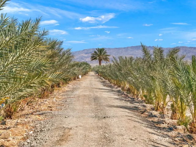 a view of a pathway with a yard