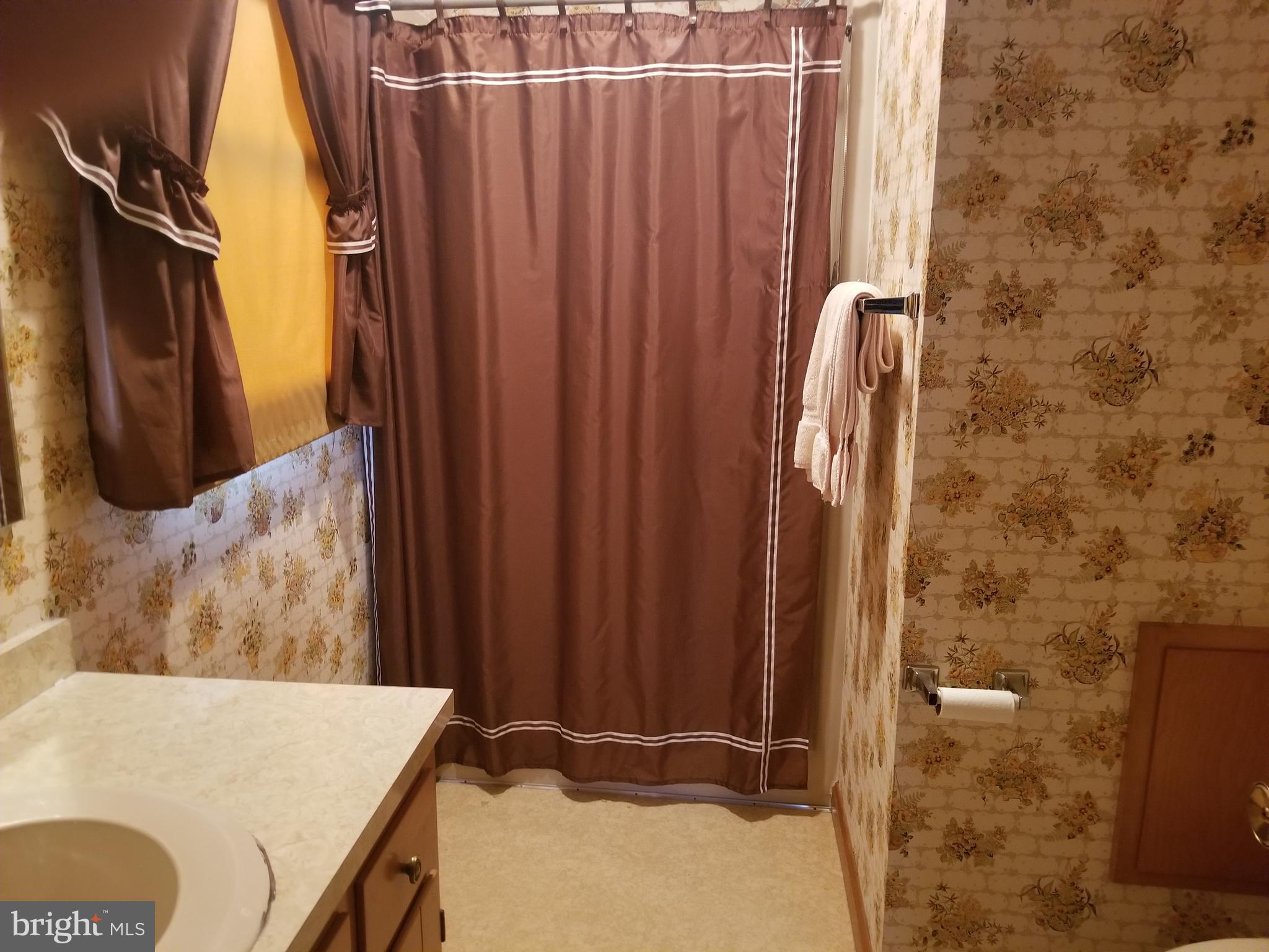 7230 Hubbard Road Federalsburg, MD 21632 - Photo 15 of 16 Full Bath Attached To Master