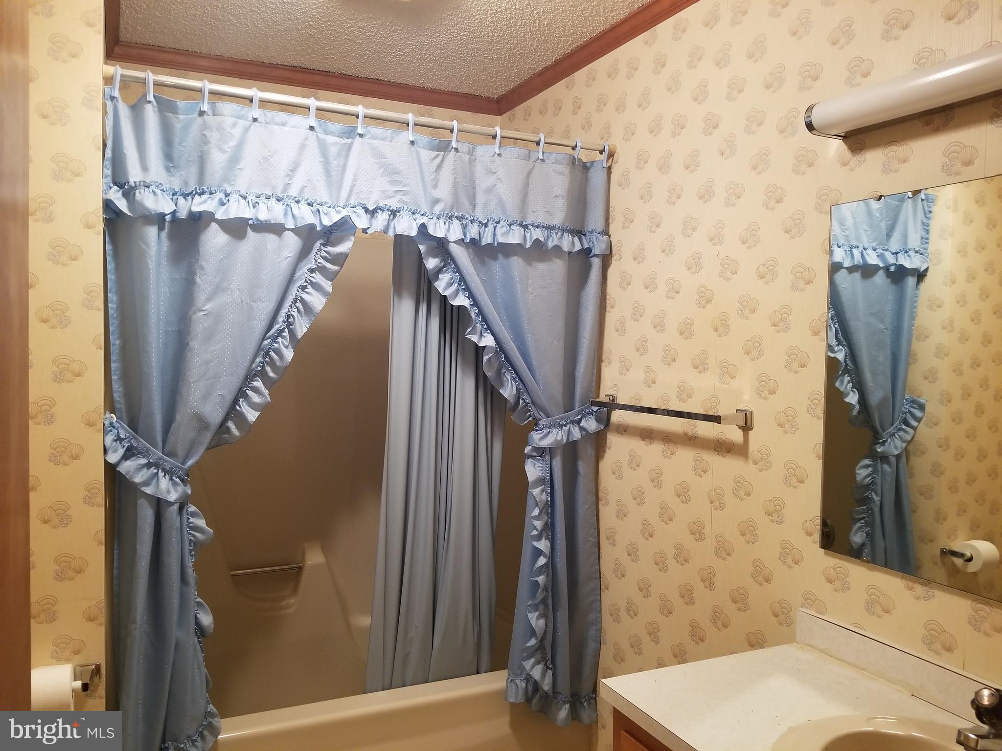 7230 Hubbard Road Federalsburg, MD 21632 - Photo 16 of 16 Full Bath
