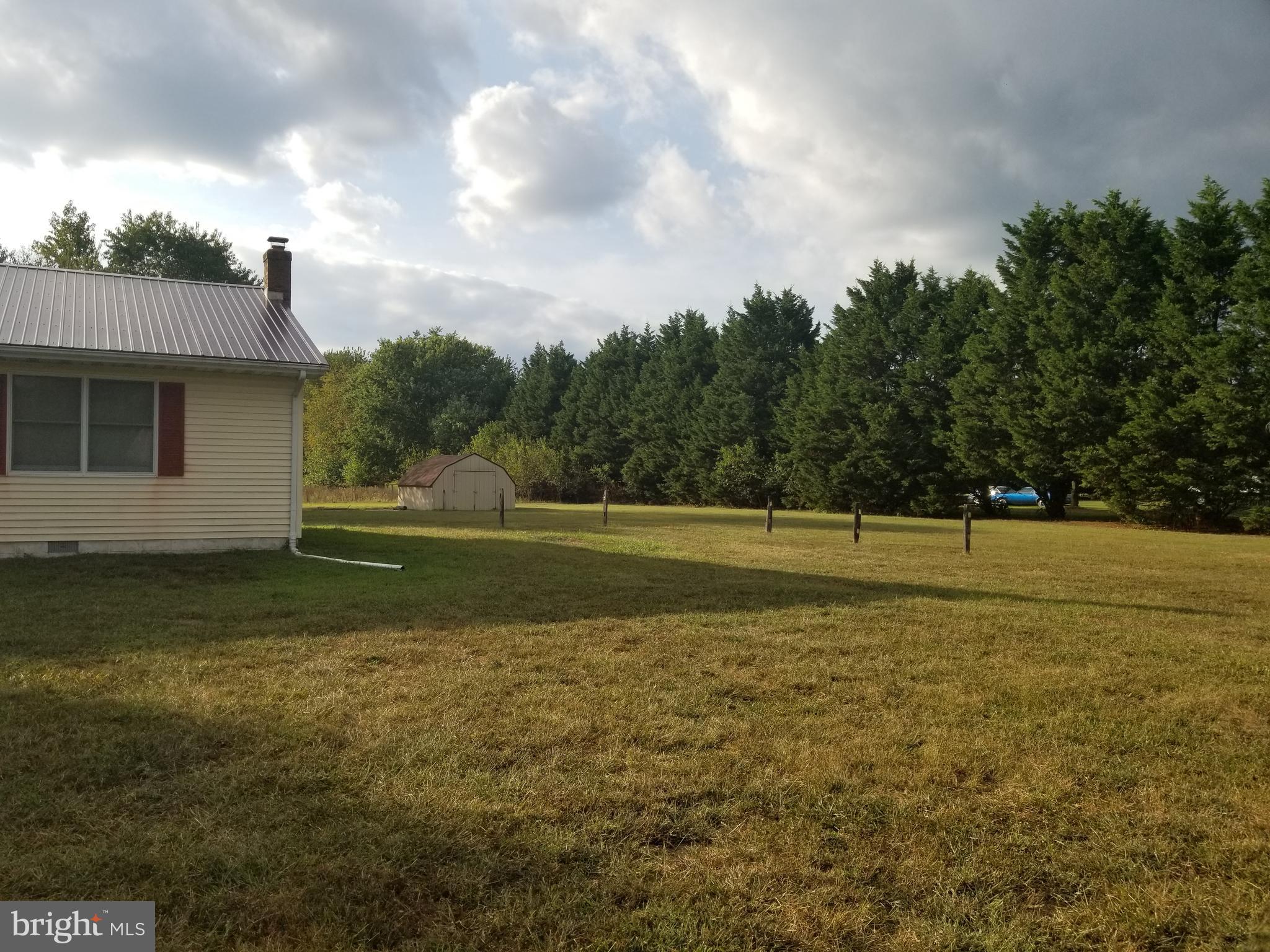 7230 Hubbard Road Federalsburg, MD 21632 - Photo 3 of 16 Side Yard