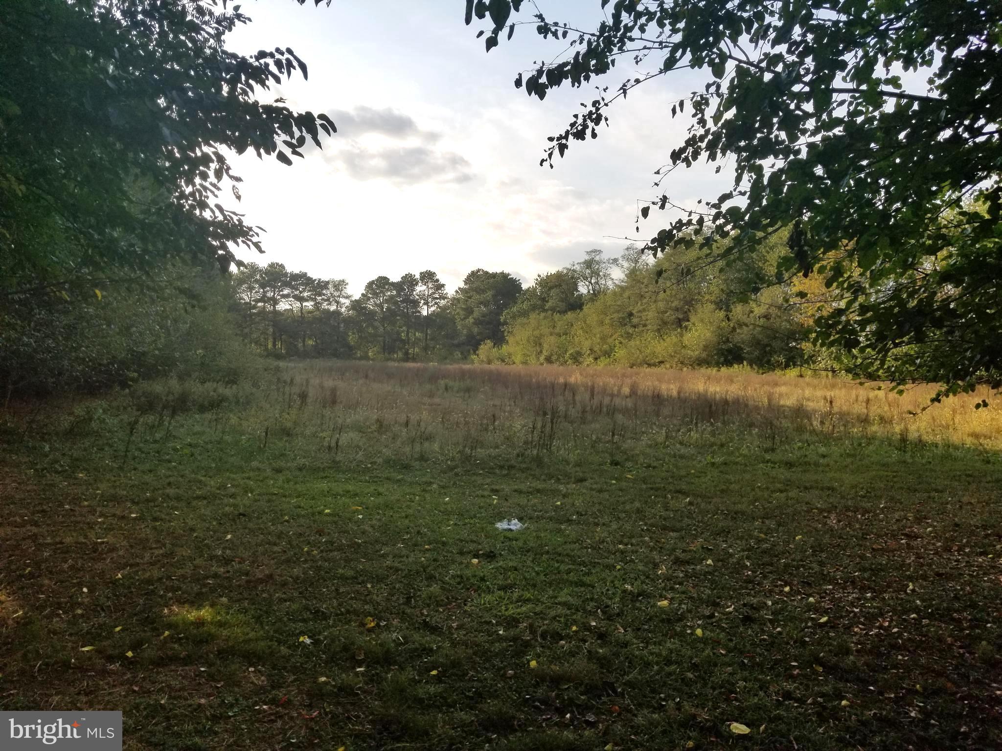 7230 Hubbard Road Federalsburg, MD 21632 - Photo 6 of 16 Property Rear