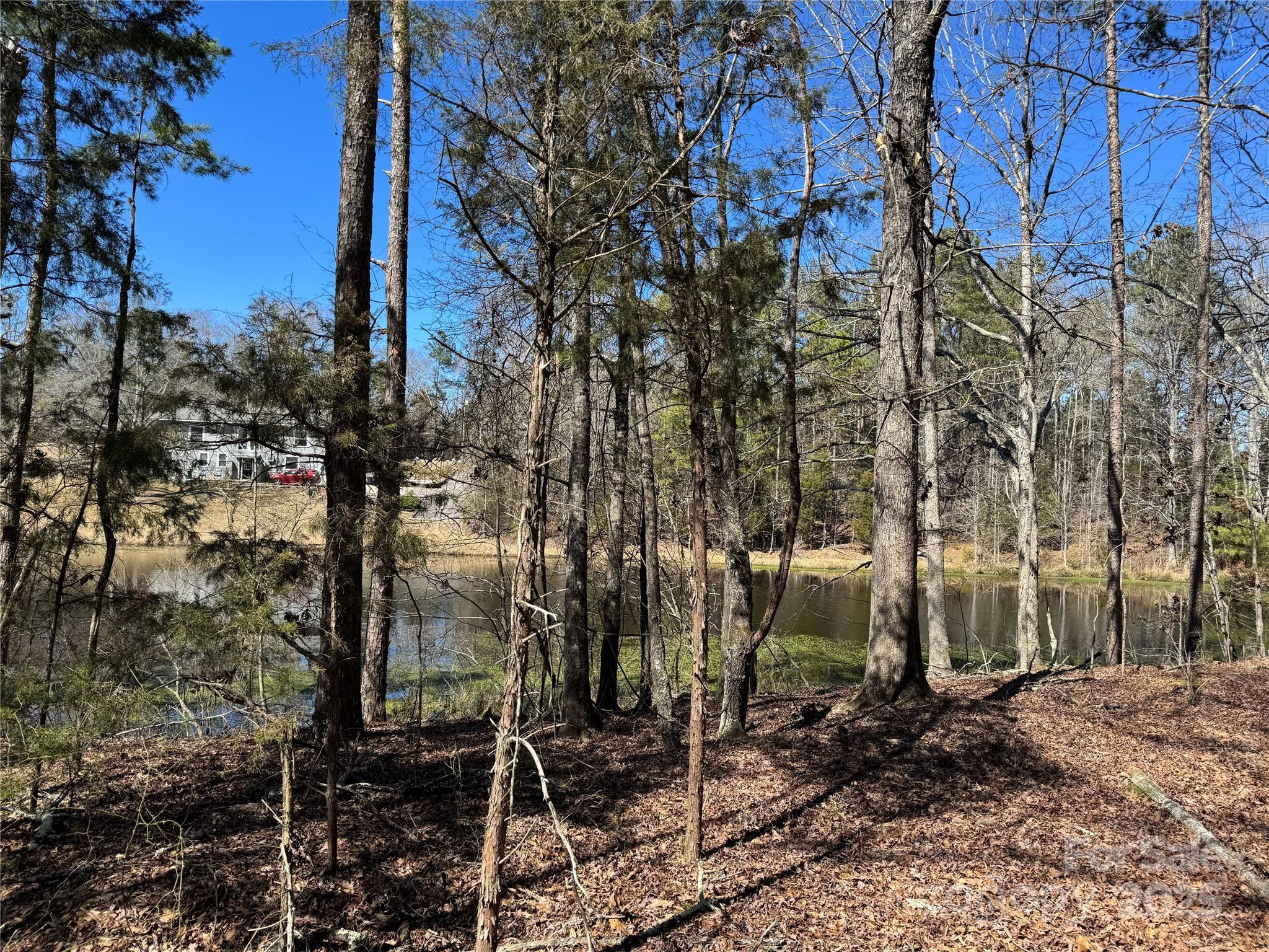 1905 Bechtler Road Edgemoor, SC 29712 - Photo 3 of 3