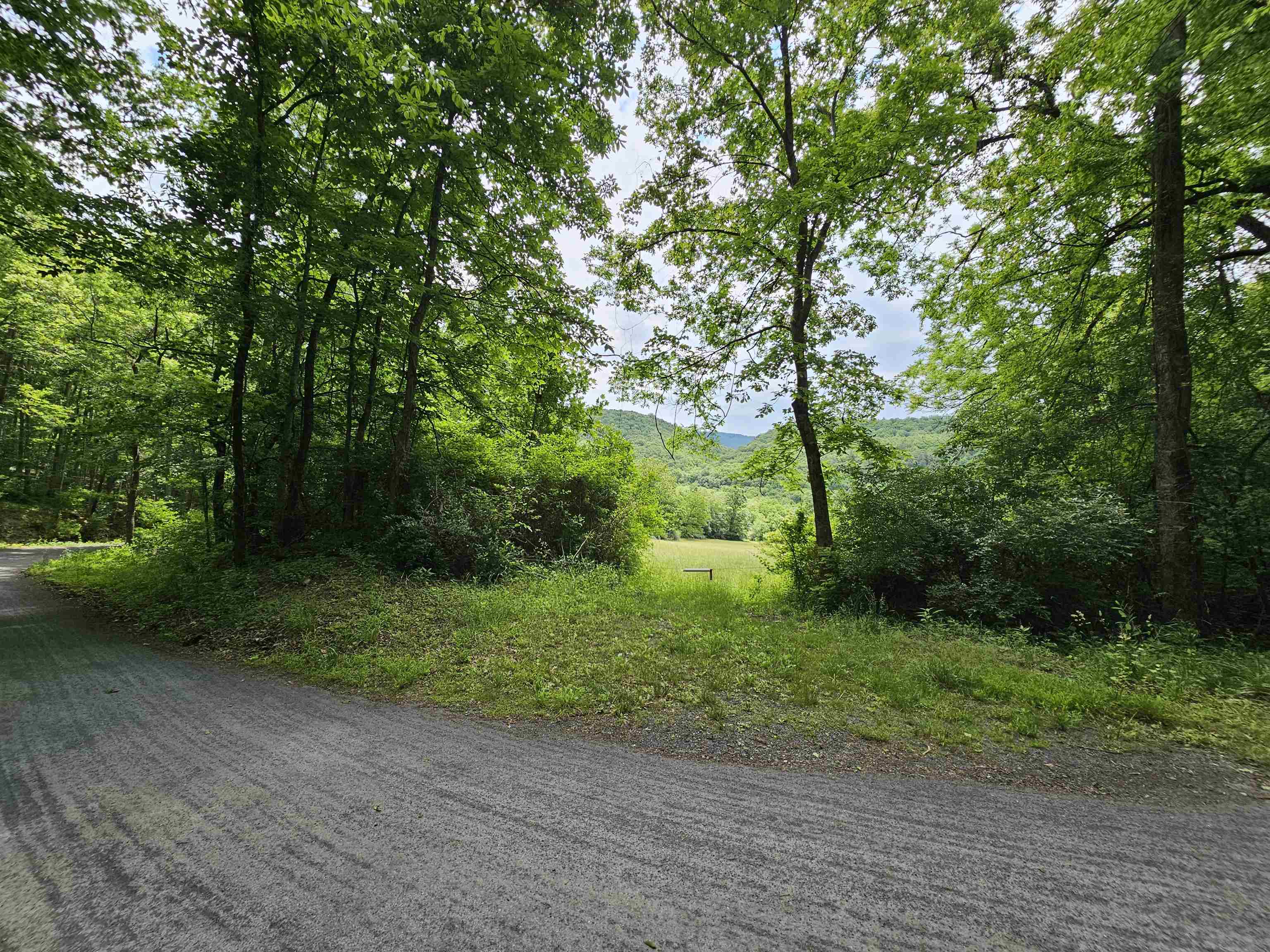 2105 Coles Mountain Road Covington, VA 24426 - Photo 42 of 66