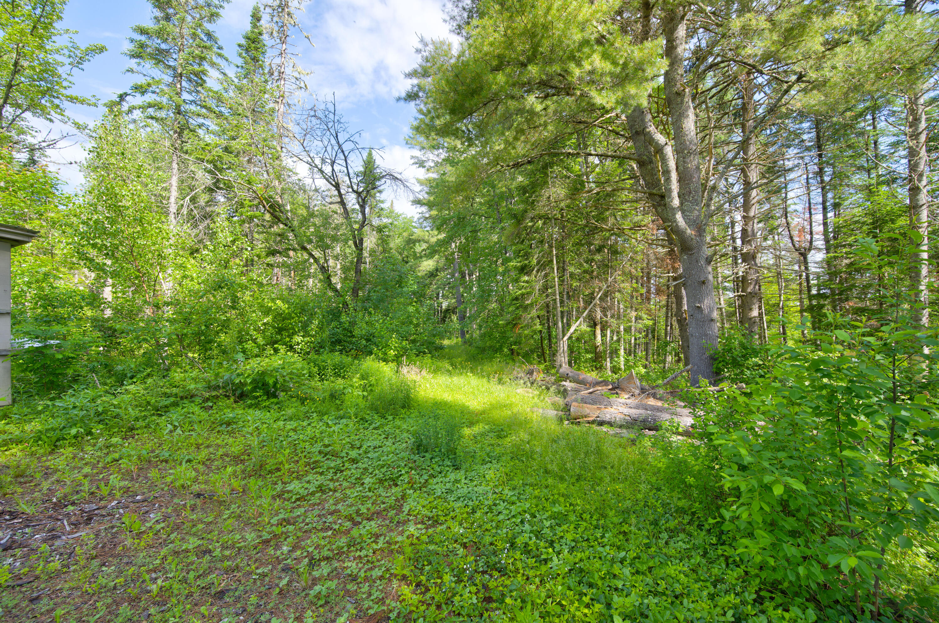 828 County Road Milford, ME 04461 - Photo 12 of 39 DSC_0827_28_29_30_31