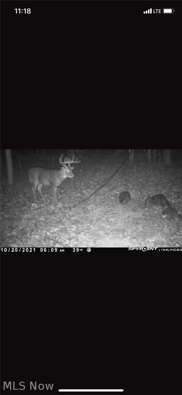 Arcola Road Madison, OH 44057 - Photo 7 of 7