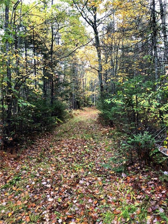 800 Manktown Road Waldoboro, ME 04572 - Photo 2 of 11 Photo