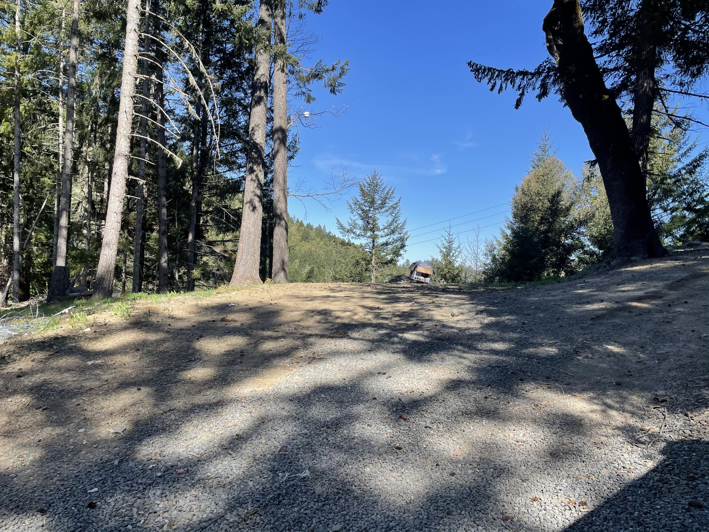 0 Stagecoach Road Bridgeville, CA 95526 - Photo 21 of 24