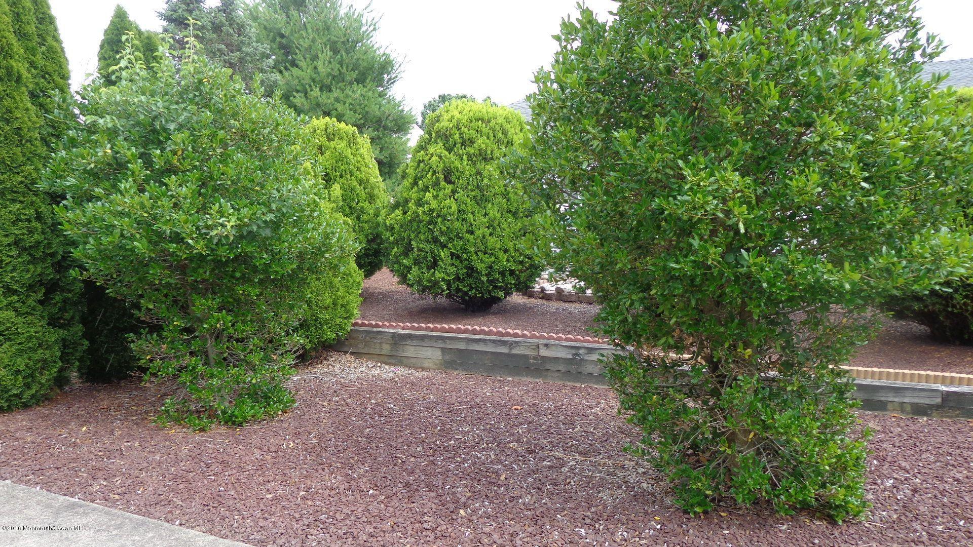 4 Garrett Road Toms River, NJ 08757 - Photo 17 of 19 a view of a yard