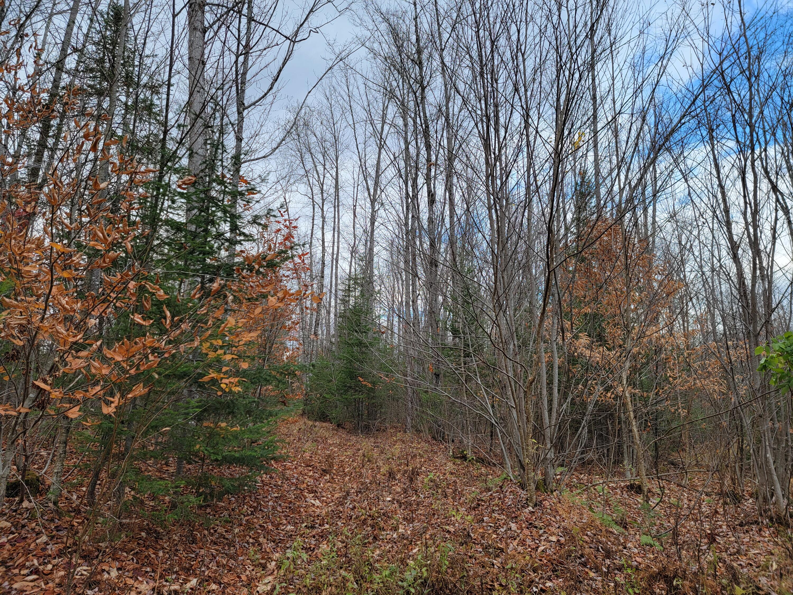 M9-l13 Middle Road New Portland, ME 04961 - Photo 10 of 23 20211102_140442