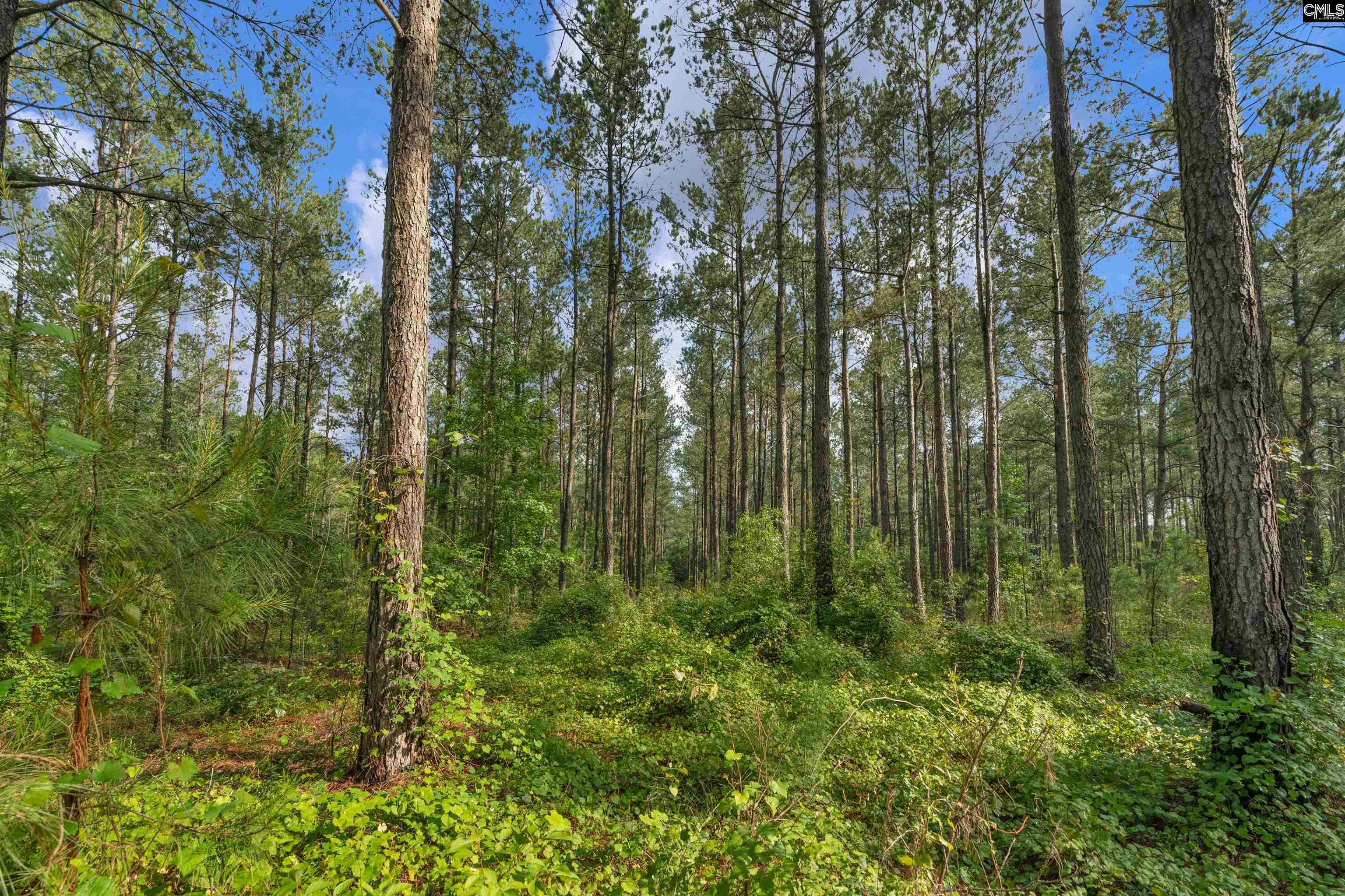 0 North Brewington Road, Unit 10 Manning, SC 29102 - Photo 27 of 29