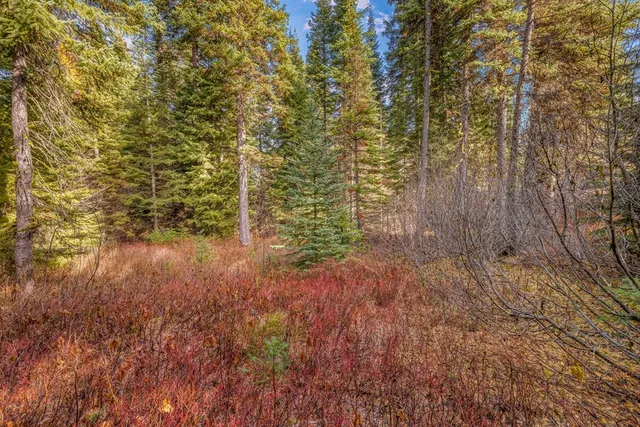 $479,000 | 150 Pinnacle Court, Unit 28, Cascade, ID 83611