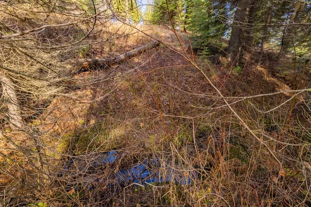 $479,000 | 150 Pinnacle Court, Unit 28, Cascade, ID 83611