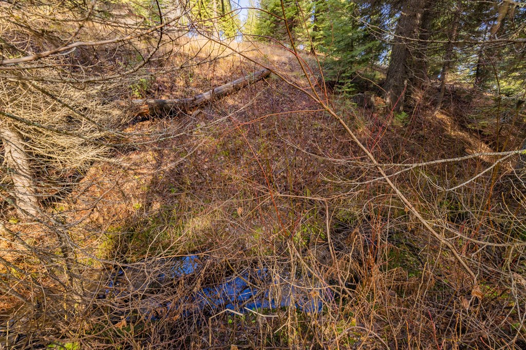 150 Pinnacle Court, Unit 28 Donnelly, ID 83615 - Photo 22 of 34