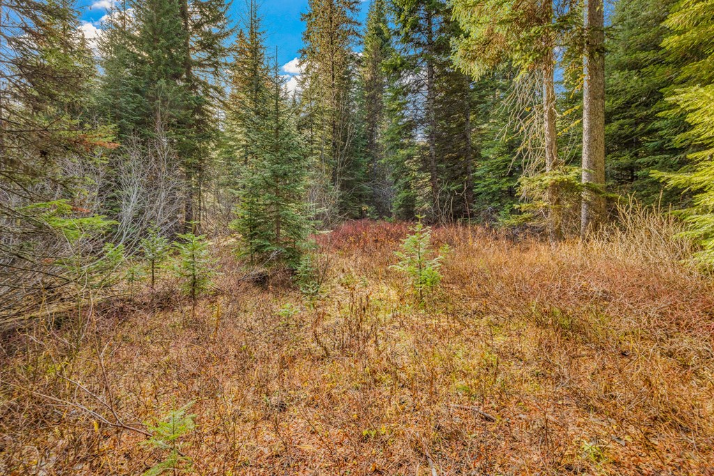 150 Pinnacle Court, Unit 28 Donnelly, ID 83615 - Photo 5 of 34