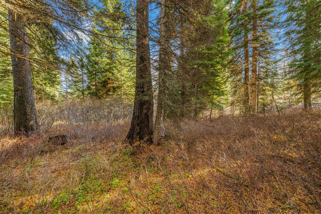 150 Pinnacle Court, Unit 28 Donnelly, ID 83615 - Photo 9 of 34