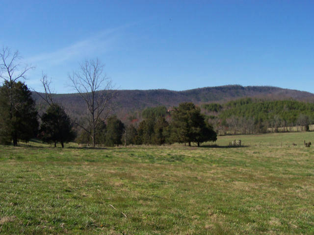 Dry Creek Road, Unit 2137L Tellico Plains, TN 37385 - Photo 1 of 14 MLS490617