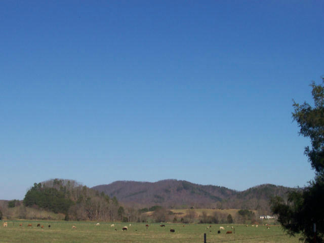 Dry Creek Road, Unit 2137L Tellico Plains, TN 37385 - Photo 12 of 14 100_1758