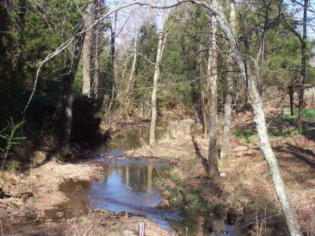 Dry Creek Road, Unit 2137L Tellico Plains, TN 37385 - Photo 13 of 14 100_1759