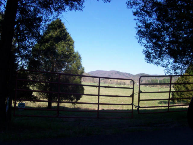 Dry Creek Road, Unit 2137L Tellico Plains, TN 37385 - Photo 14 of 14 100_1760