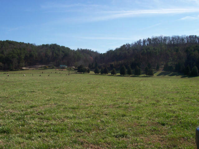 Dry Creek Road, Unit 2137L Tellico Plains, TN 37385 - Photo 3 of 14 100_1748