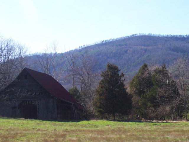 Dry Creek Road, Unit 2137L Tellico Plains, TN 37385 - Photo 4 of 14 100_1749