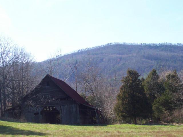 Dry Creek Road, Unit 2137L Tellico Plains, TN 37385 - Photo 5 of 14 100_1750