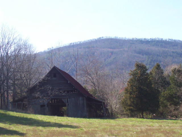 Dry Creek Road, Unit 2137L Tellico Plains, TN 37385 - Photo 6 of 14 100_1751