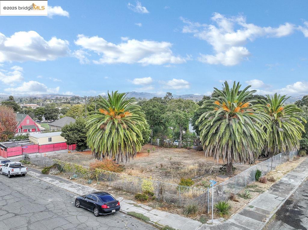 902 Kentucky Street Vallejo, CA 94590 - Photo 2 of 9 a view of a palm tree next to a building