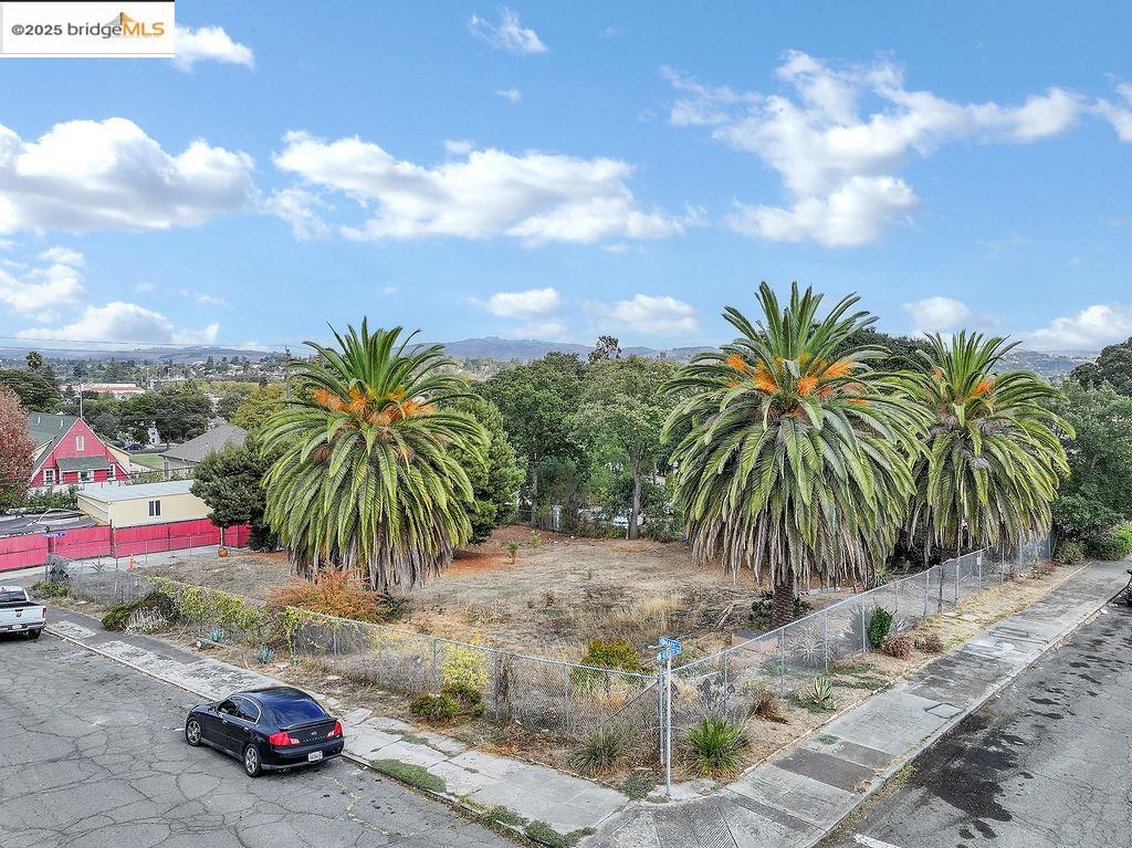 902 Kentucky Street Vallejo, CA 94590 - Photo 7 of 9 a view of street and with car parked