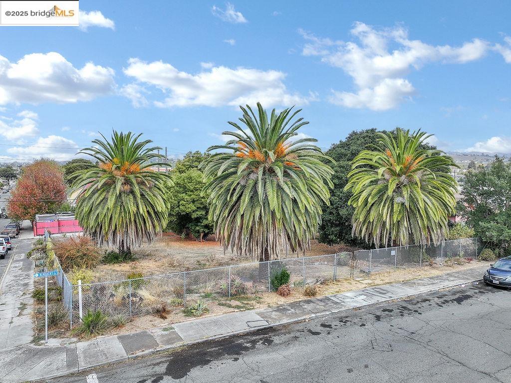 902 Kentucky Street Vallejo, CA 94590 - Photo 8 of 9 a view of outdoor space with palm trees