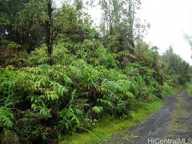 0 Ao Road Keaau, HI 96749 - Photo 1 of 1 a view of a lush green forest