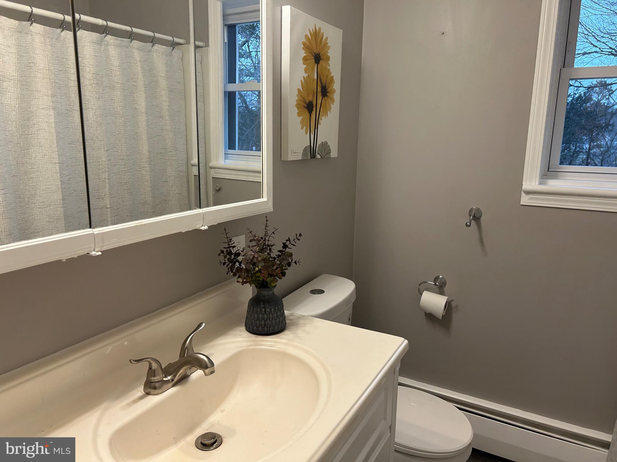 446 Stracks Dam Road Myerstown, PA 17067 - Photo 25 of 56 First Floor Bathroom