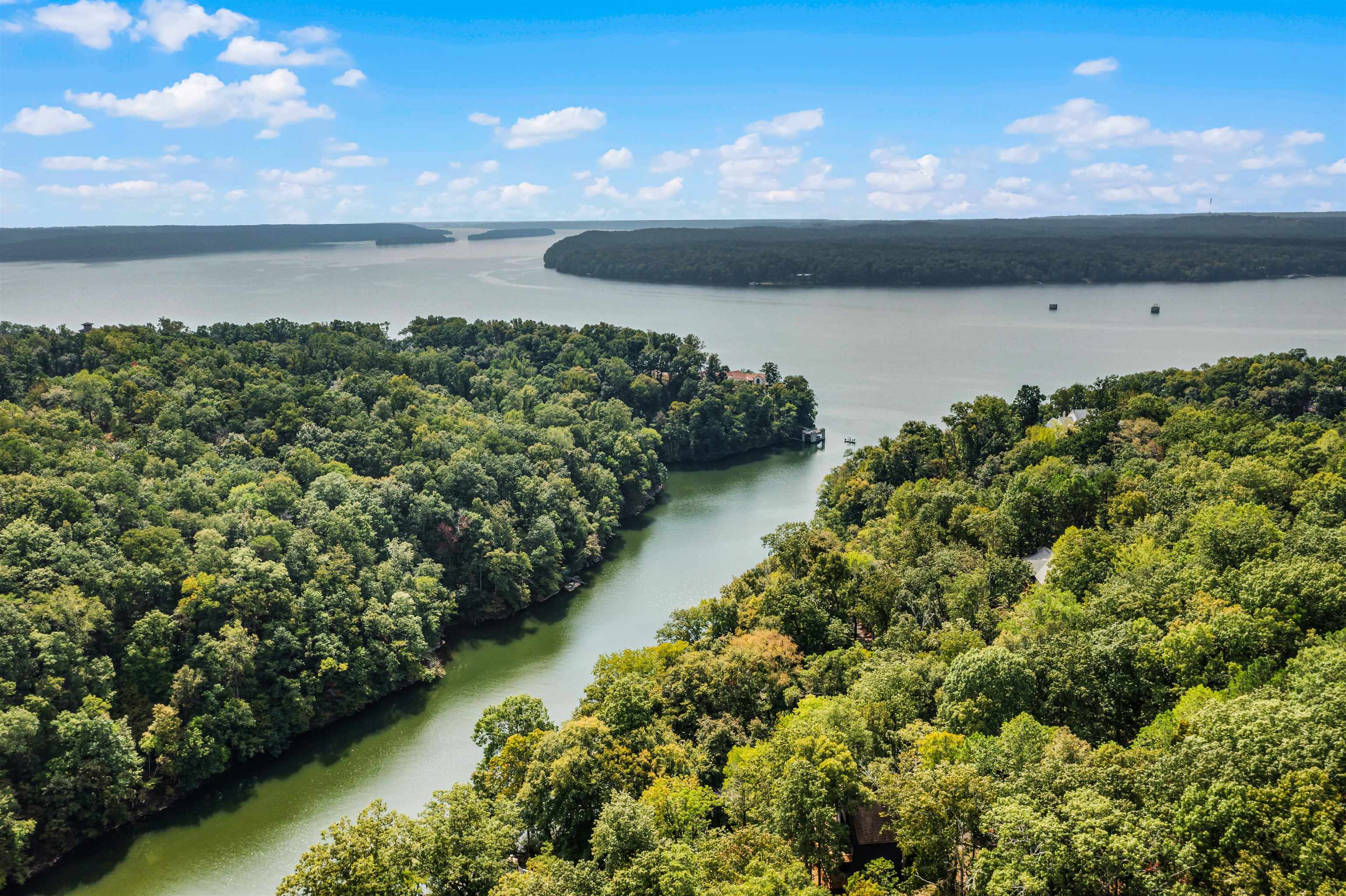 70 Point Clear Cove Savannah, TN 38372 - Photo 6 of 26 Aerial view of beautiful Pickwick Lake