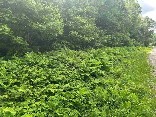 $110,000 | 88 A Sylvan Ridge Road, Winhall, VT 05340