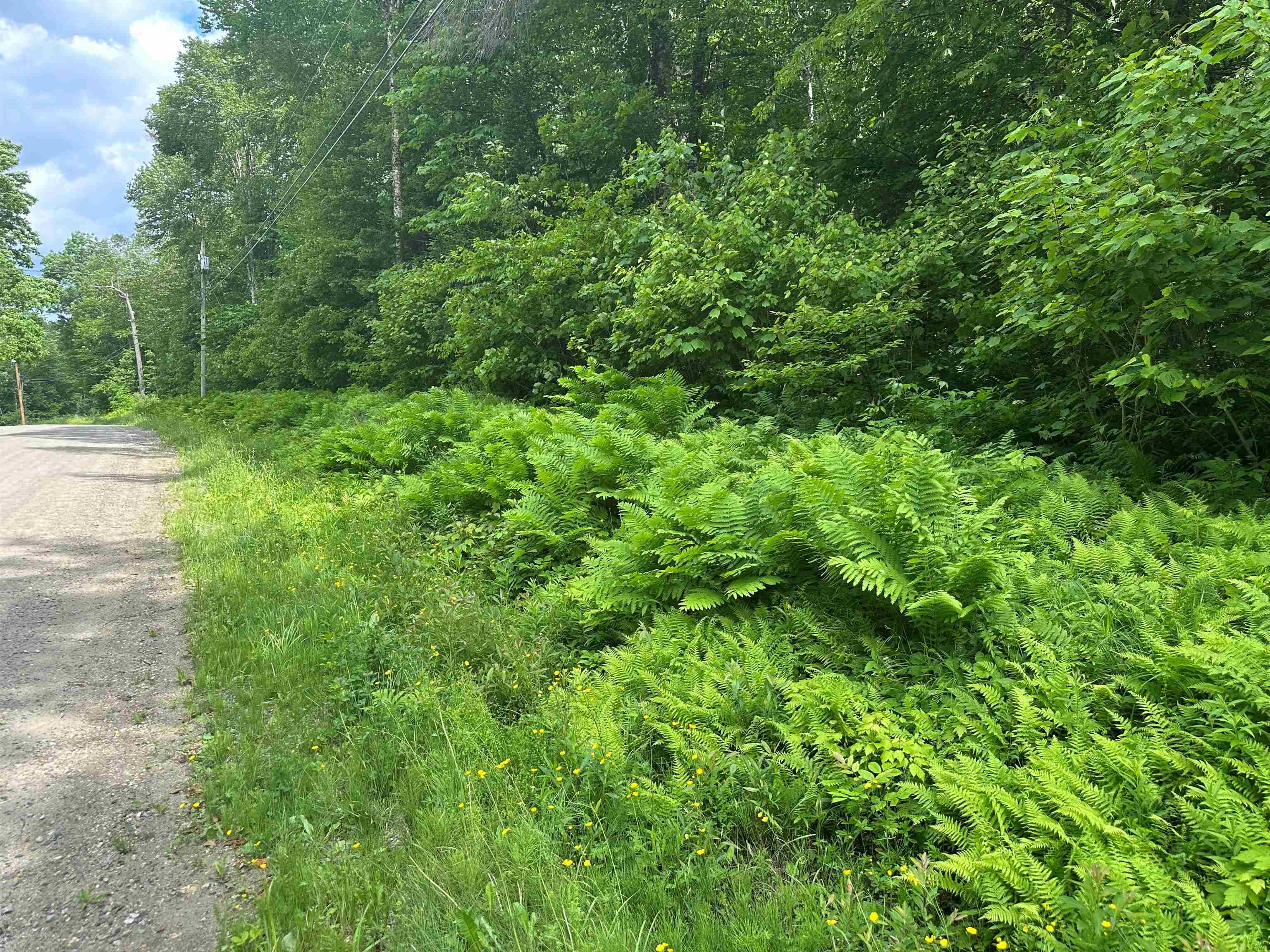 88 A Sylvan Ridge Road Winhall, VT 05340 - Photo 2 of 6