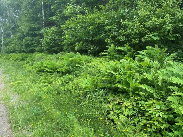 $110,000 | 88 A Sylvan Ridge Road, Winhall, VT 05340