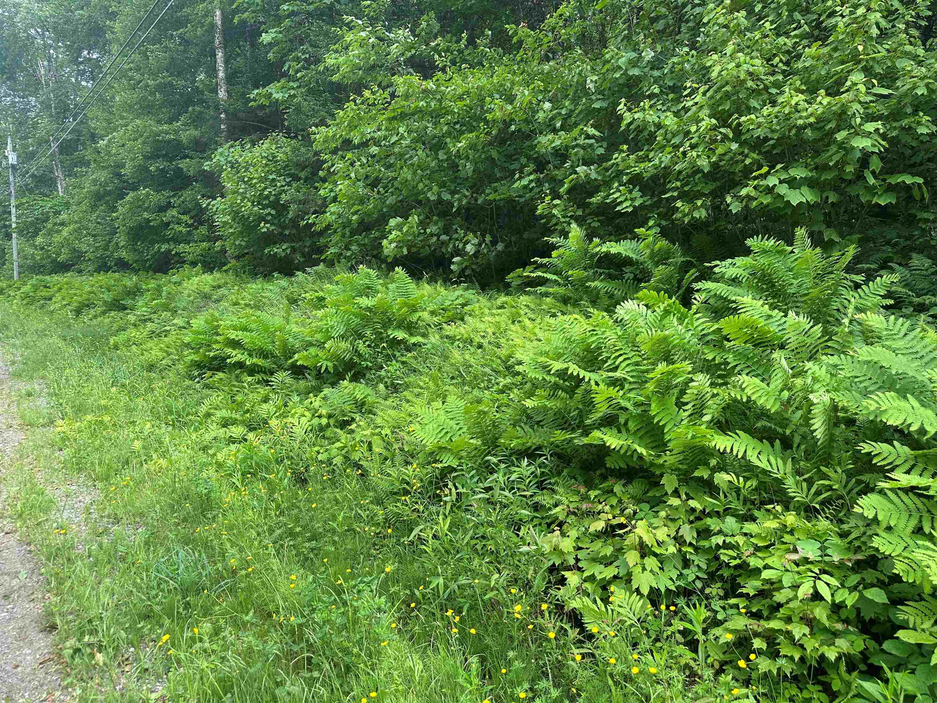 88 A Sylvan Ridge Road Winhall, VT 05340 - Photo 3 of 6