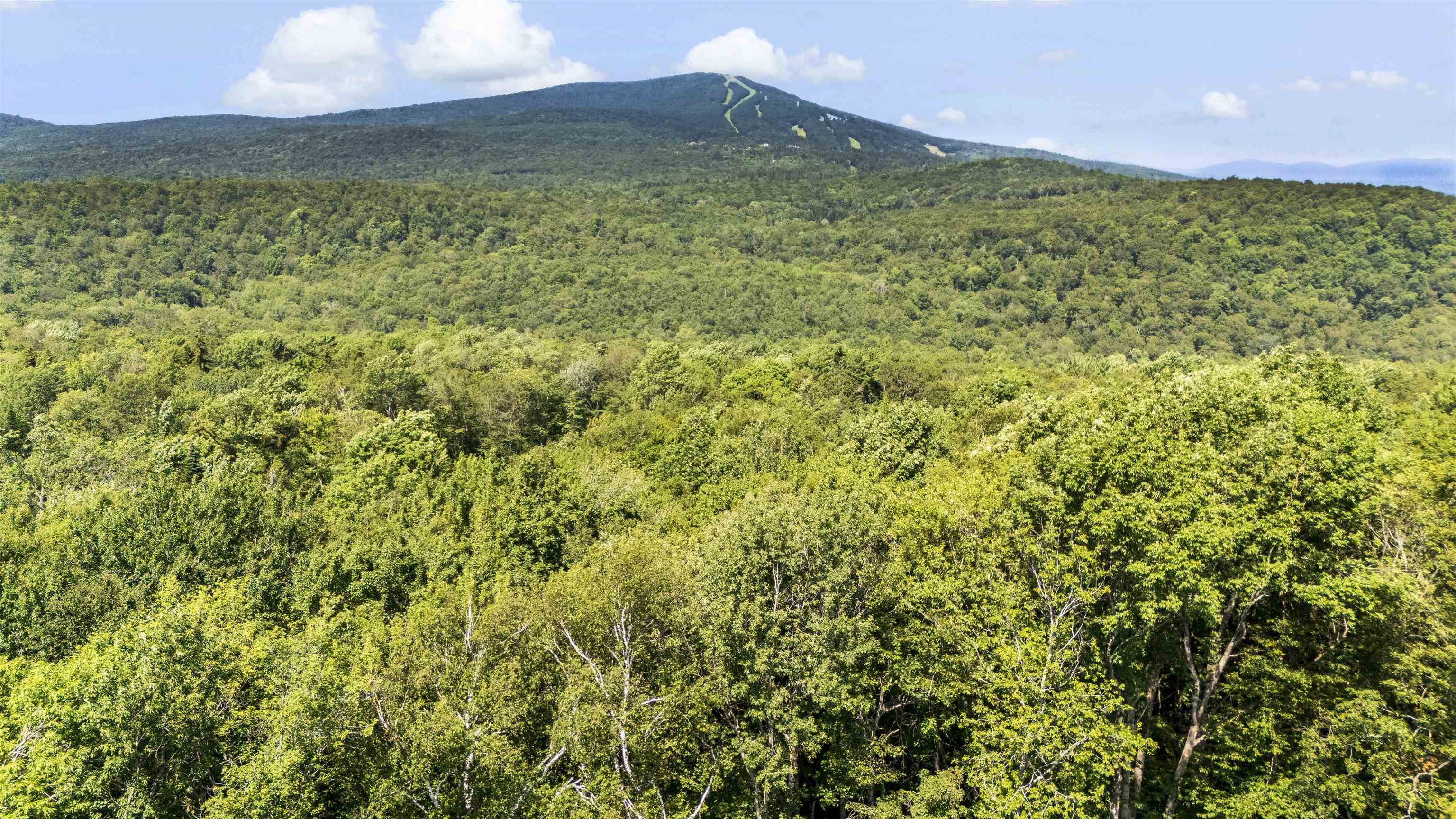 88 A Sylvan Ridge Road Winhall, VT 05340 - Photo 5 of 6