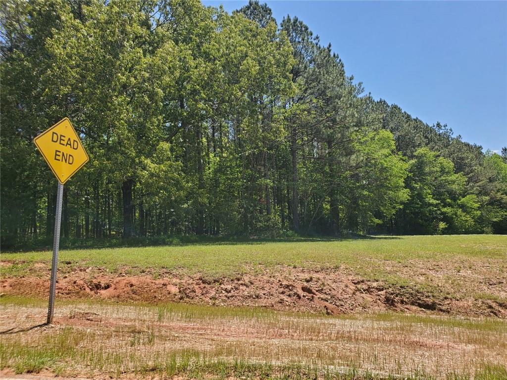4549 Ball Ground Road Ball Ground, GA 30107 - Photo 6 of 7 a view of a street with a tree in the background
