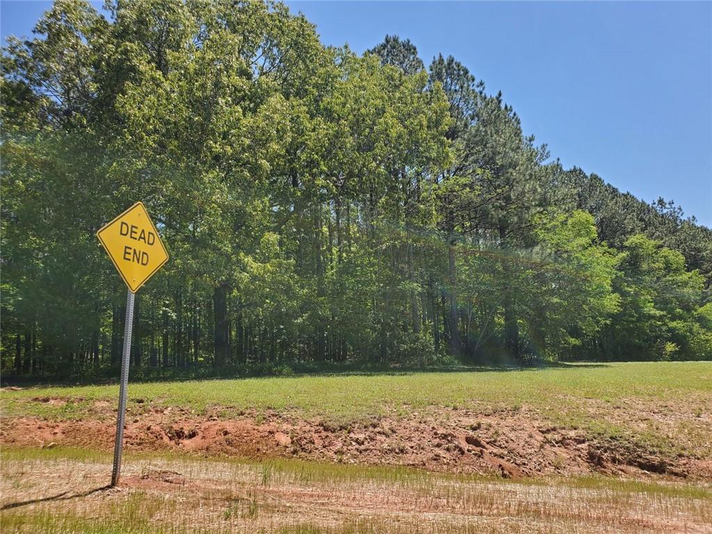 4549 Ball Ground Road Ball Ground, GA 30107 - Photo 7 of 7 a view of a backyard