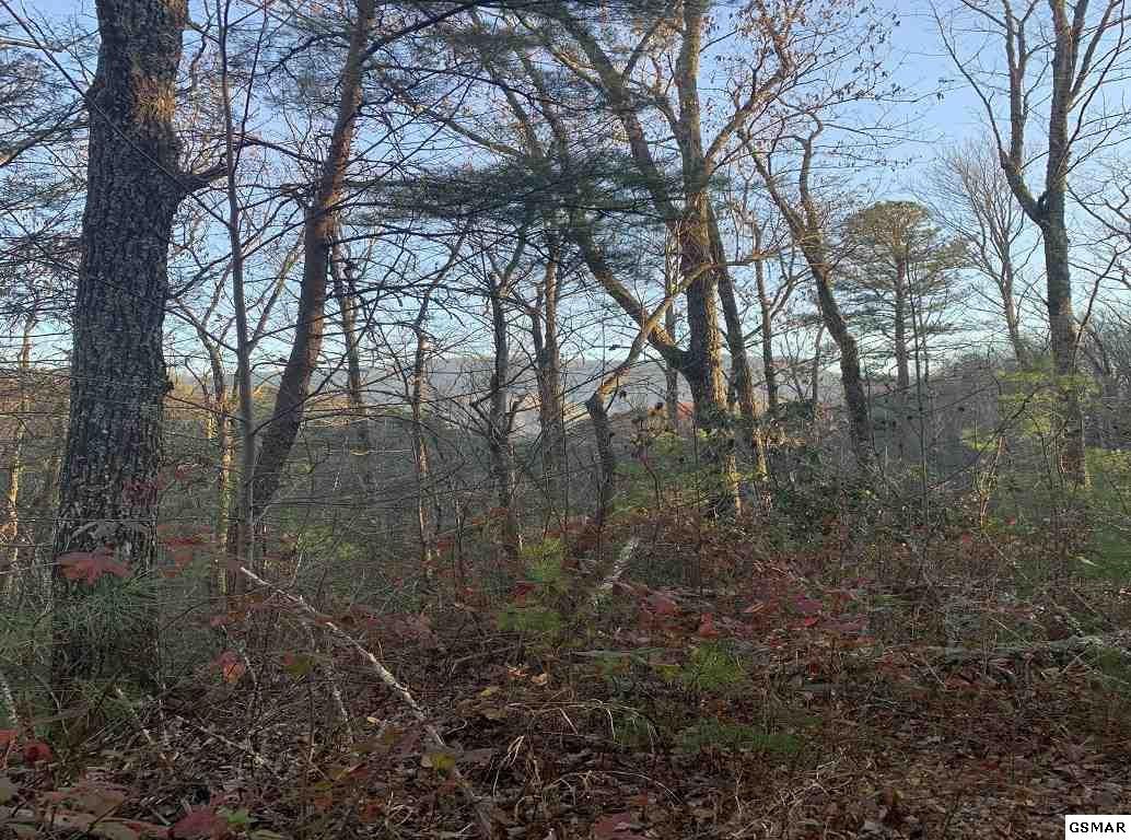 314 Hickey Road Sevierville, TN 37876 - Photo 29 of 36