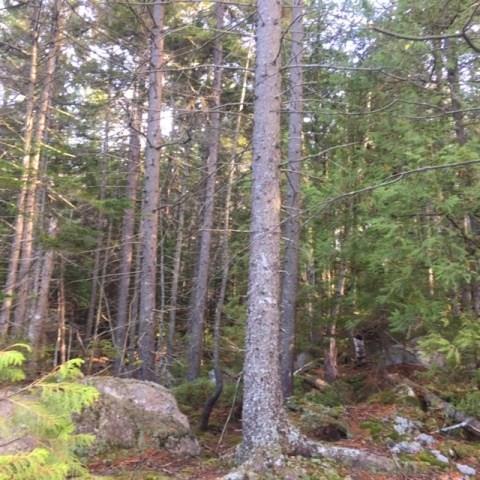 5-6 Bemis Road Rangeley, ME 04970 - Photo 17 of 17 Photo