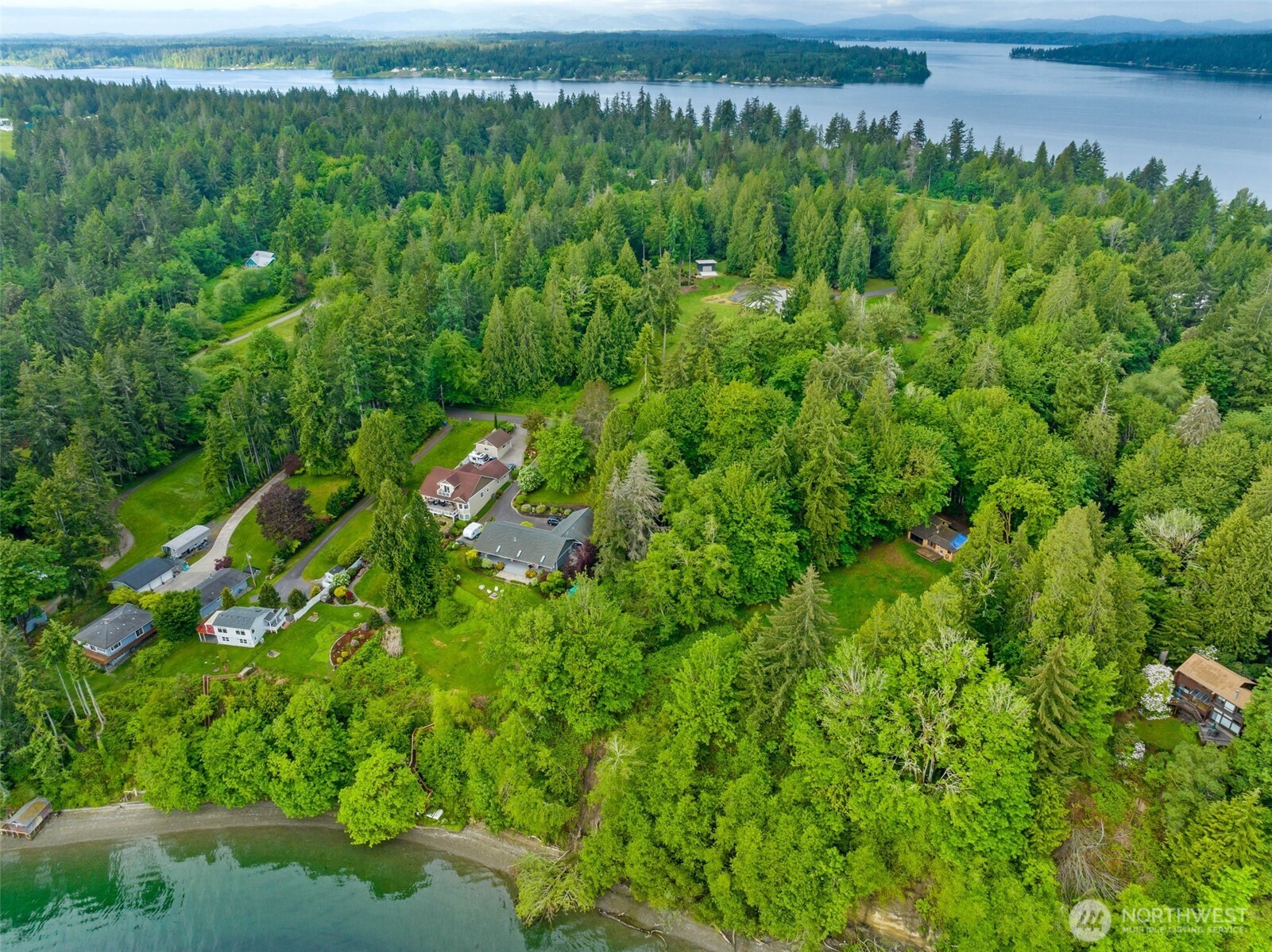 9728 Cascade Loop Northeast Olympia, WA 98516 - Photo 11 of 13 a view of a garden with a tree