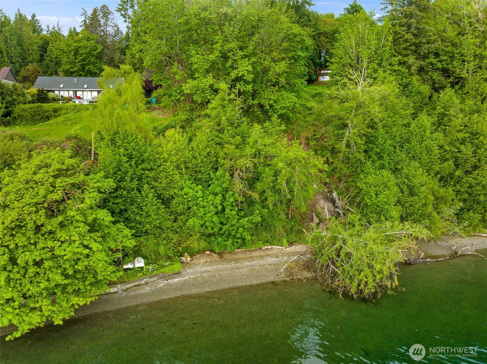 9728 Cascade Loop Northeast Olympia, WA 98516 - Photo 2 of 13 a view of a garden