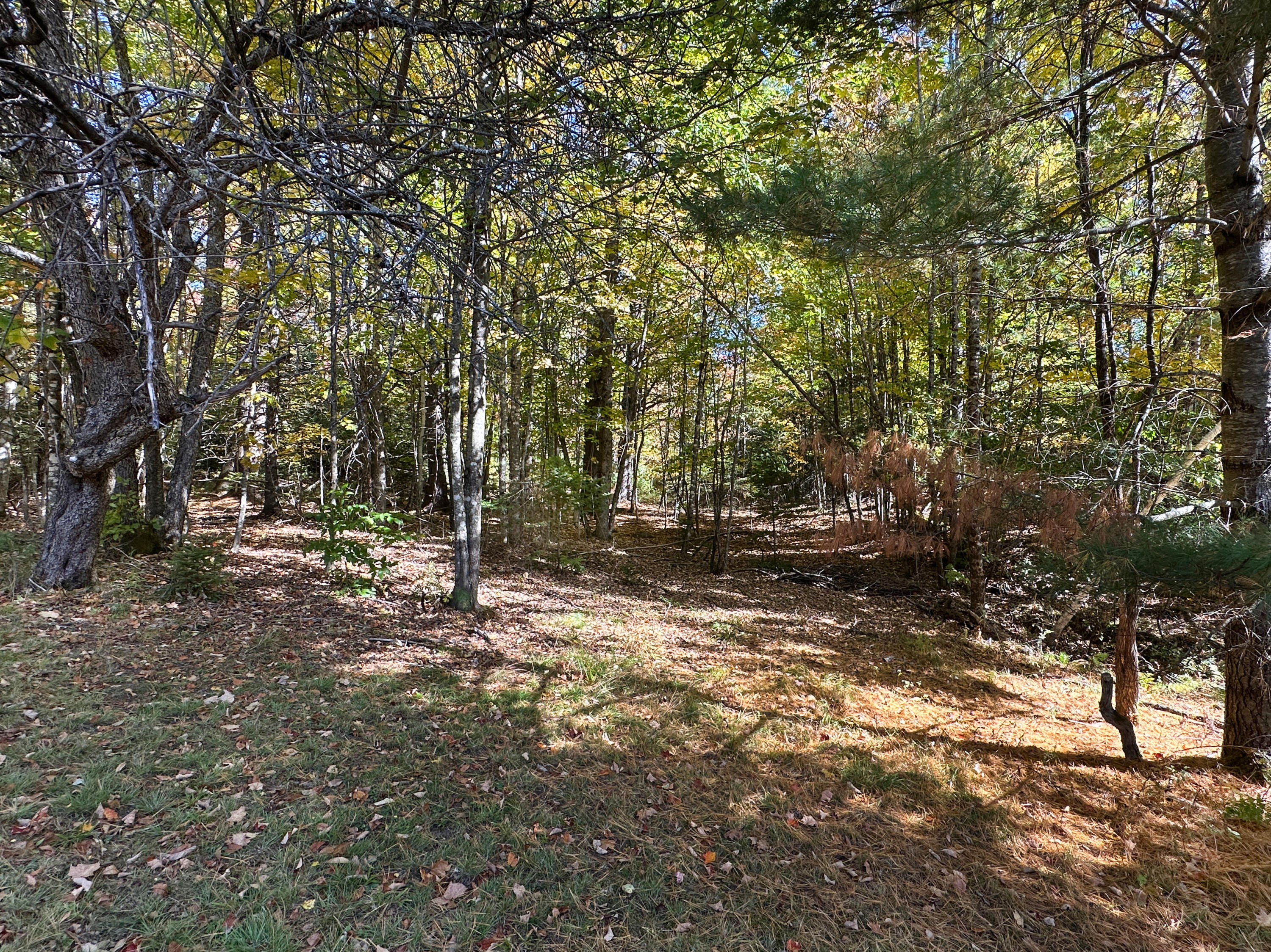 553 Elliotsville Road Monson, ME 04464 - Photo 14 of 33 595c36158431dbcb94856ef2b669d43536a73996