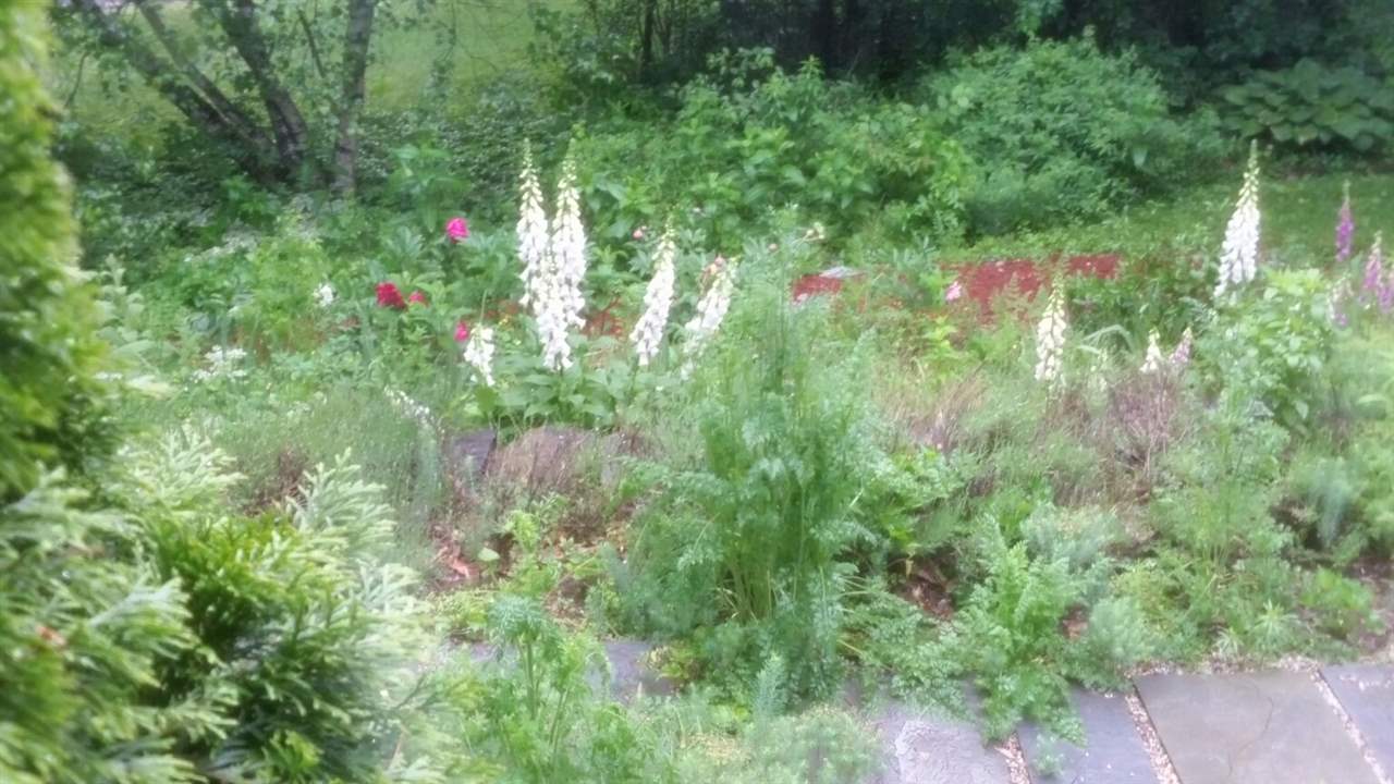 24 Radway Hill Road Newfane, VT 05345 - Photo 36 of 39