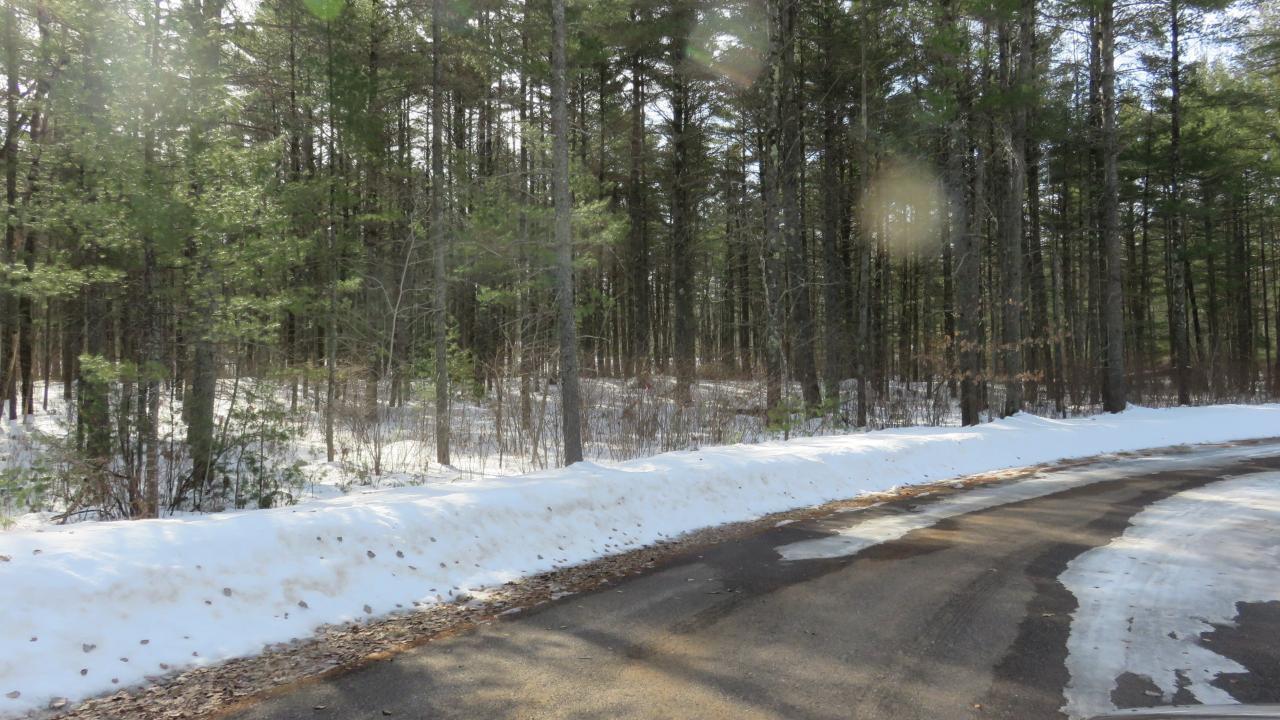 Lot 3 Shadow Lake Road Manitowish Waters, WI 54545 - Photo 5 of 7 Gallery Image 5